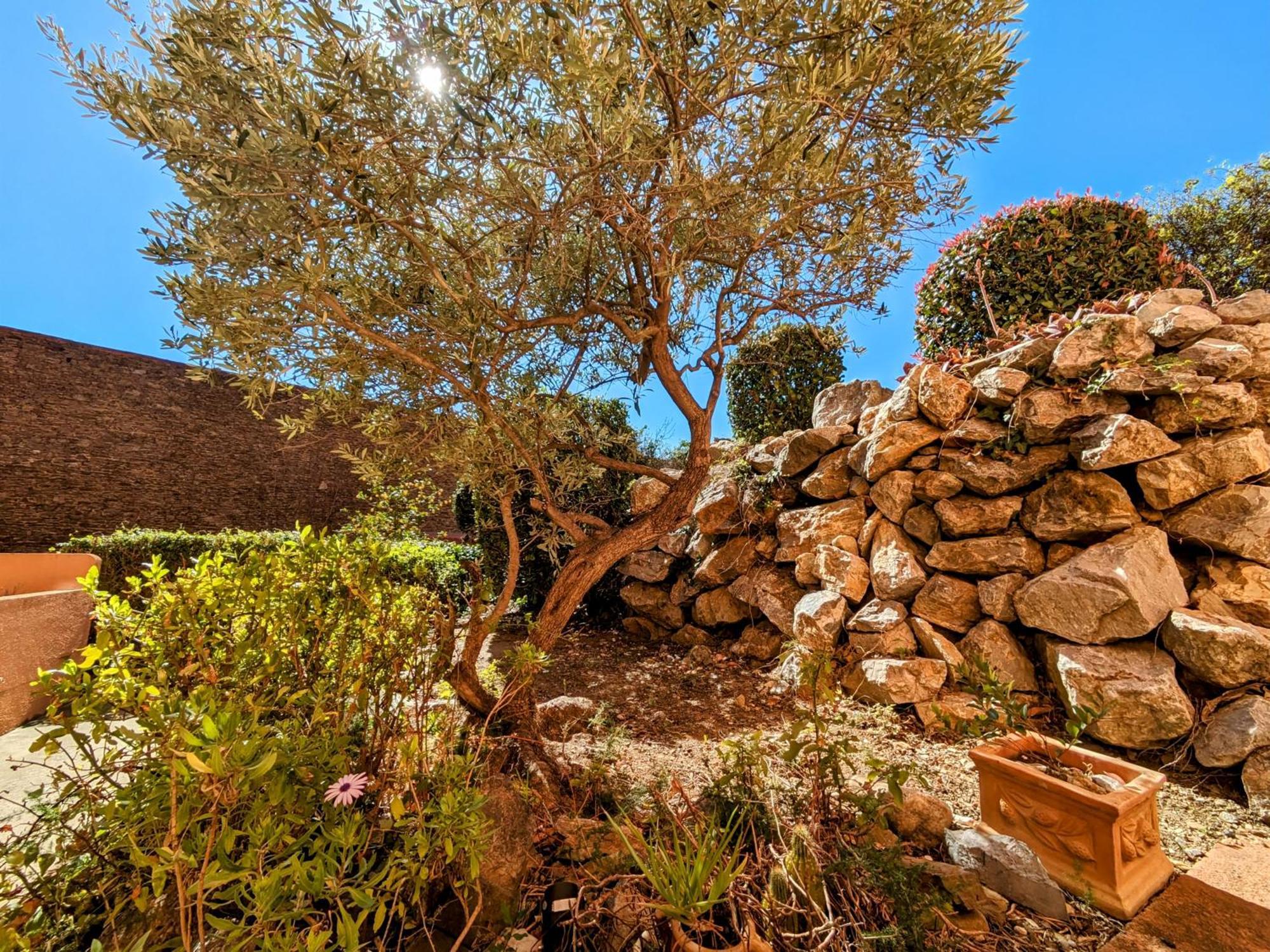 Apartamento Avec Parking, Terrasse Et Wifi Collioure